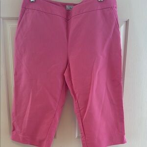 Pink Women's Shorts - Size 10